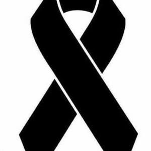 Meet your Posher, Rosangel